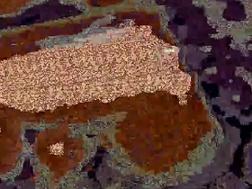 Dick videotape chinese gay porn tweeter